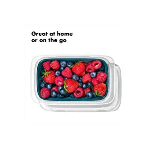 Gg Prep-go Sızdırmaz Süzgeçli Saklama Kabı 0,45lt. 11301