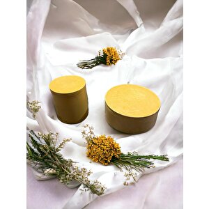 Bumbum 2'li Özel Seri Soya Wax %100 Naturel Renkli Beton Saksılı Vanilya Kokulu Candle Dekoratif Mum Handmade El Yapımı