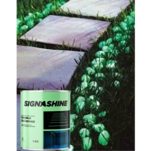 SignaShine Karanlıkta Işık Veren Akıllı Nano Hobi Boyası 1 Kg