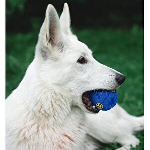 3b Trend 7 Cm Sesli Mama Hazneli Ve Ödül Maması Için Köpek Oyun Topu Oyuncağı