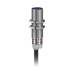 Telemecanique Sensors Xs112blpal2 Endüktif Sensör M12 L42mm-sn2mm-2m