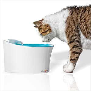 Sessiz Motorlu Akar Sulu Kedi Köpek Kuş Su İçme Kabı Haznesi Çeşmesi Şelalesi Çeşmesi Musluğu