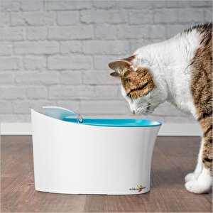 Sessiz Motorlu Akar Sulu Kedi Köpek Kuş Su İçme Kabı Haznesi Çeşmesi Şelalesi Çeşmesi Musluğu