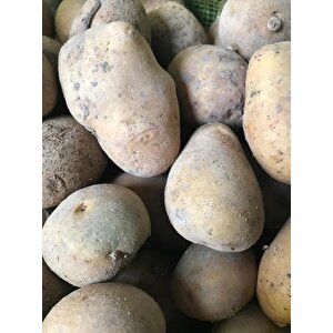 Marabel Yerli Tohumluk Patates 10 Kg