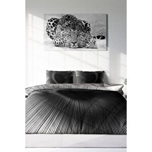 King Size Gray Wortex 3d Pamuk Saten Çift Kişilik Nevresim Takımı