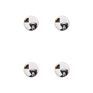 Wild Life Monkey Düz Tabak 20cm 4'lü 04alm005126