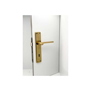 Tutku Titanyum Gold Lüx Aynalı Oda Kapı Kolu 3 Takım