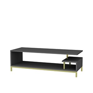 Decoroti̇ka Rei̇lly Tv Üni̇tesi̇ Gold Antrasi̇t