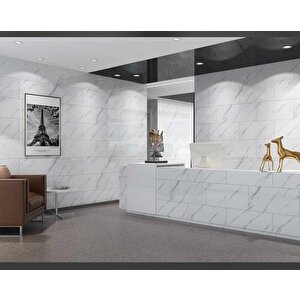 Bs1751 60x30cm Shiny Mermer Desenli  Yapışkanlı Karavan Prefabrik Banyo Duvar Kaplama Paneli