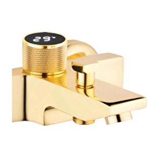 Di̇ji̇tal Gold Banyo Bataryasi