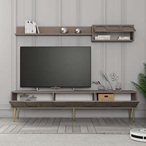 Lyon Duvar Raflı Tv Ünitesi - Atlas / Altın