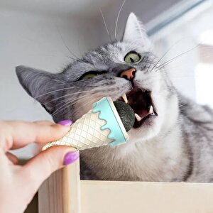 Himarry Dondurma Şeklinde Kedi Nanesi Kedi Otu