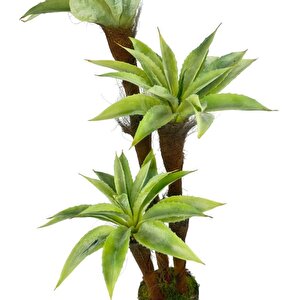 Yapay Ağaç Agave 3katlı 85cm Silikon Malzeme Doğal Doku