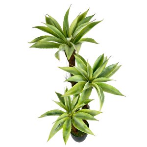 Yapay Ağaç Agave 3katlı 85cm Silikon Malzeme Doğal Doku