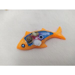 Balık Görünümlü Magnet Turuncu Mıknatıslı Deniz Kabuklu Kemer Yazılı Buzdolabı Süsü