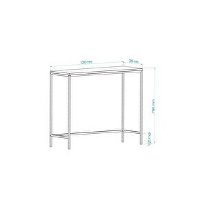 Dekoprati̇k - Canvas Metal Dresuar Gold Camli