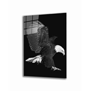EOL 36x23 cm