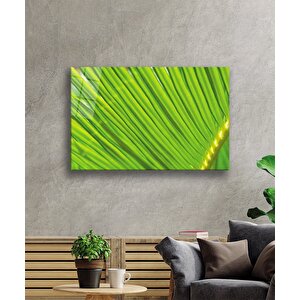 EOL 50x70 cm