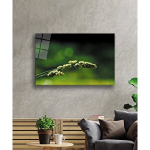 EOL 50x70 cm