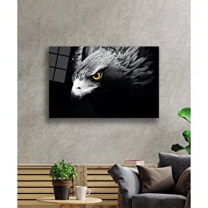 EOL 50x70 cm