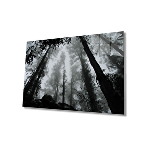 EOL 36x23 cm