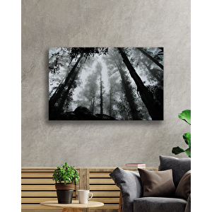 EOL 36x23 cm