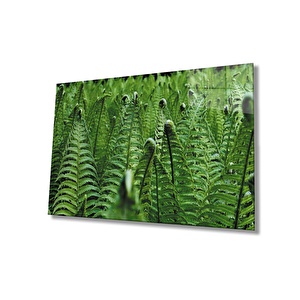 EOL 50x70 cm