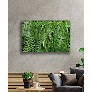 EOL 50x70 cm