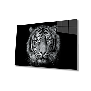 EOL 50x70 cm