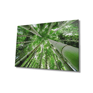 EOL 50x70 cm
