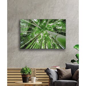 EOL 50x70 cm