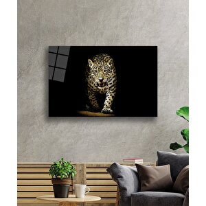 EOL 50x70 cm
