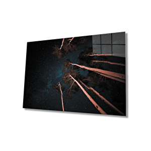 EOL 50x70 cm