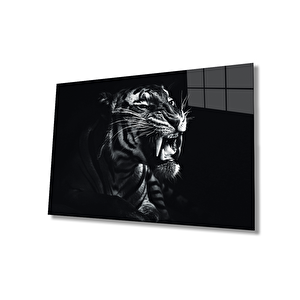 EOL 50x70 cm