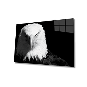 EOL 50x70 cm