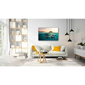 EOL 50x70 cm