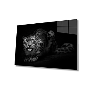 EOL 50x70 cm