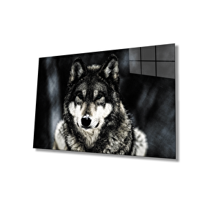 EOL 50x70 cm