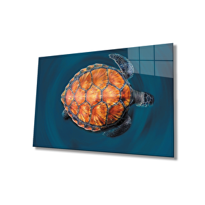 EOL 50x70 cm