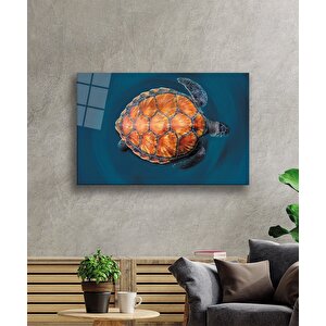 EOL 50x70 cm