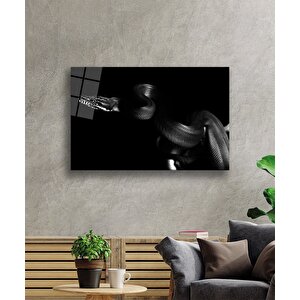 EOL 50x70 cm