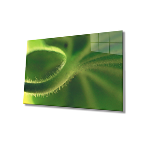 EOL 36x23 cm
