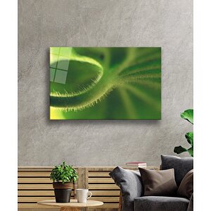 EOL 90x60 cm