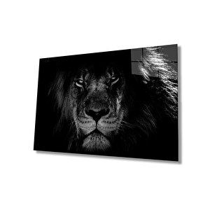 EOL 50x70 cm