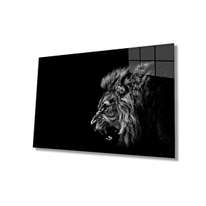 EOL 36x23 cm