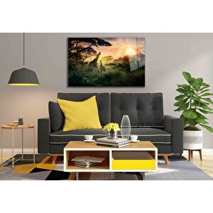 EOL 50x70 cm
