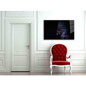 EOL 50x70 cm
