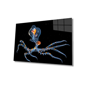 EOL 36x23 cm