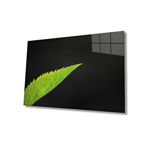 EOL 36x23 cm