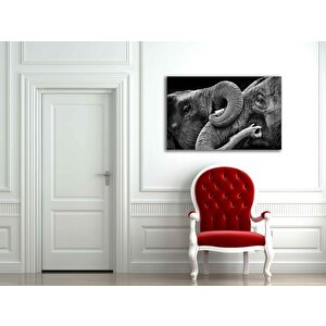 EOL 36x23 cm